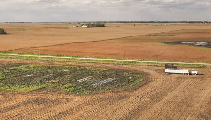 A wet and frustrating harvest