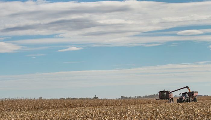 Iowa Corn & Soybean Basis - Oct. 24, 2018