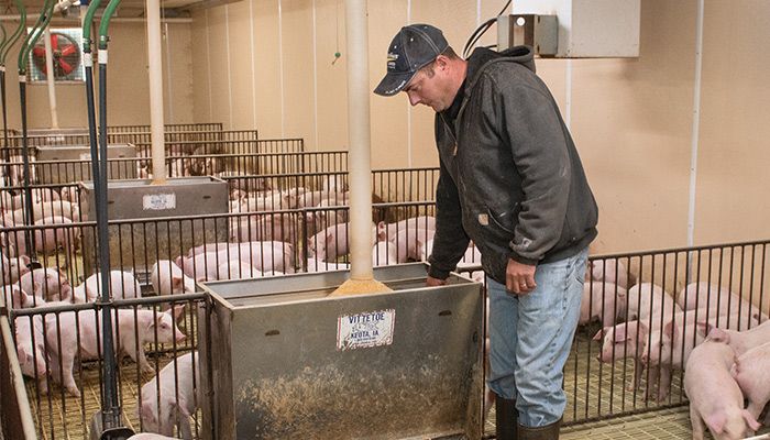 Jeff Atwood has endured the ups and downs of hog farming over the years, but remains optimistic regarding the future of the industry in Iowa. PHOTO / GARY FANDEL
