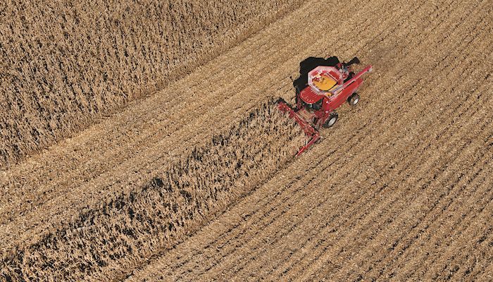 Iowa Corn & Soybean Basis - Dec. 5, 2018