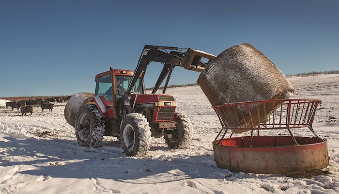 Iowa Hay Auctions - Dec. 5, 2018