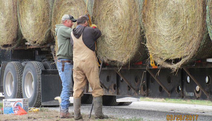 Iowa Hay Auctions - January 30, 2019