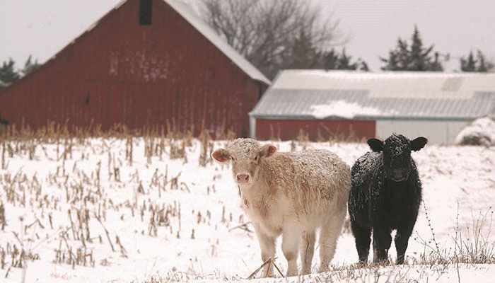 EQIP funds boosting conservation in Iowa