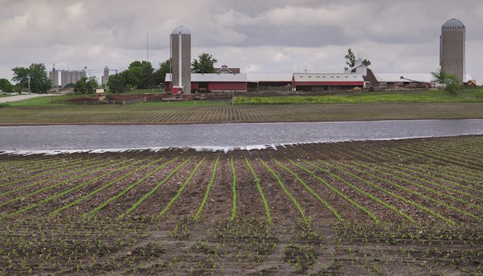 Volatile weather on tap for 2019 crop year
