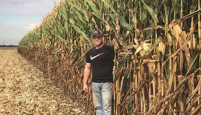 Thick, sturdy stands key to corn contest winner