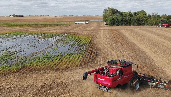 water in field