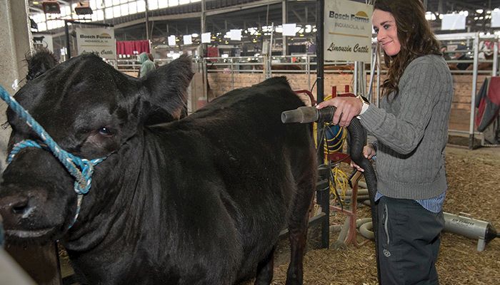 Peyton Goracke, working for Bosch Farms 