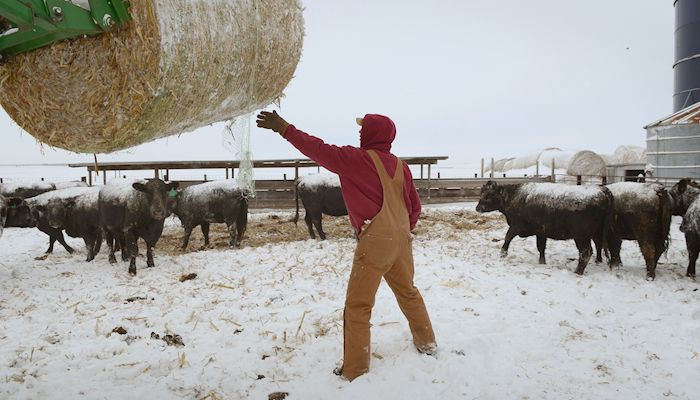 Iowa Hay Auctions - February 27, 2019