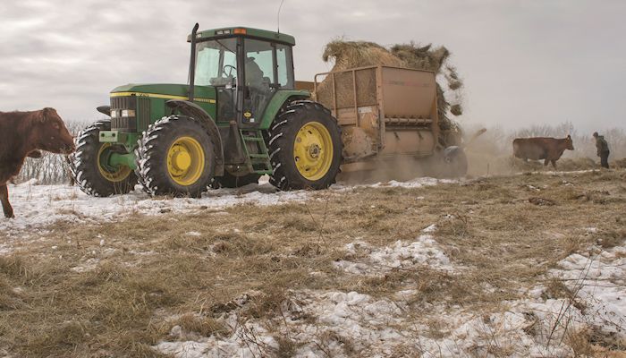 Iowa Hay Auctions - March 6, 2019