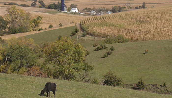 Trade uncertainty weighs on farmland values