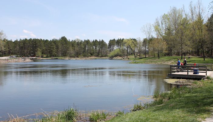 Farmers’ efforts helping waterfowl