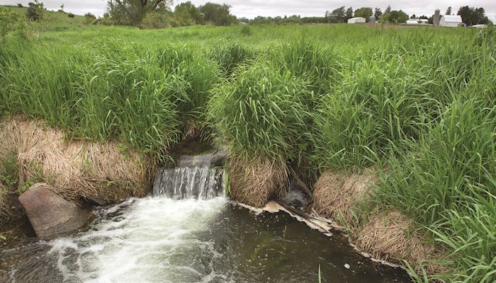 Conservation finds a firm footing