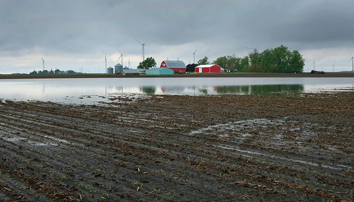 Wet conditions persist ahead of planting season