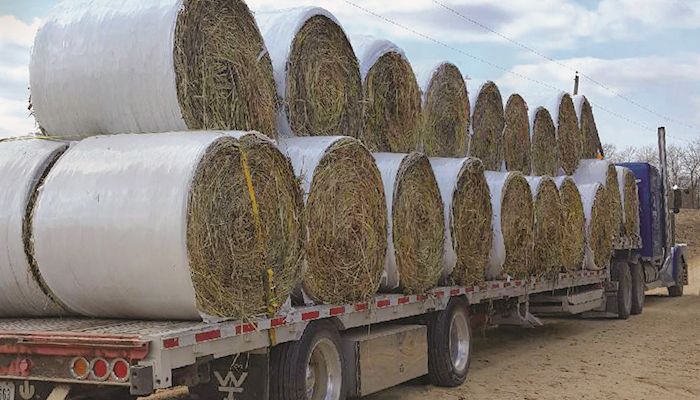 Iowa Hay Auctions - April 10, 2019