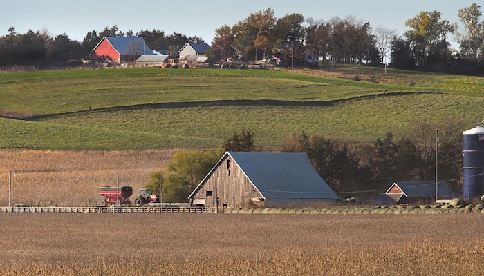 Iowa Corn & Soybean Basis - May 8, 2019