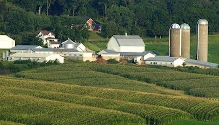 Farmland values hold strength in sagging economy