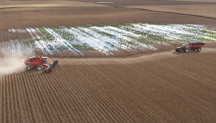 Delays are forcing farmers to look at prevented planting