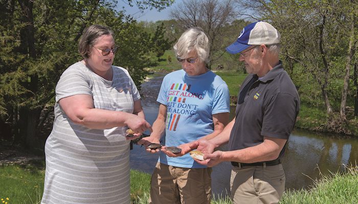 Reviving Lime Creek