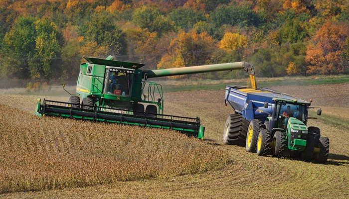 Crop model suggests big yield drop