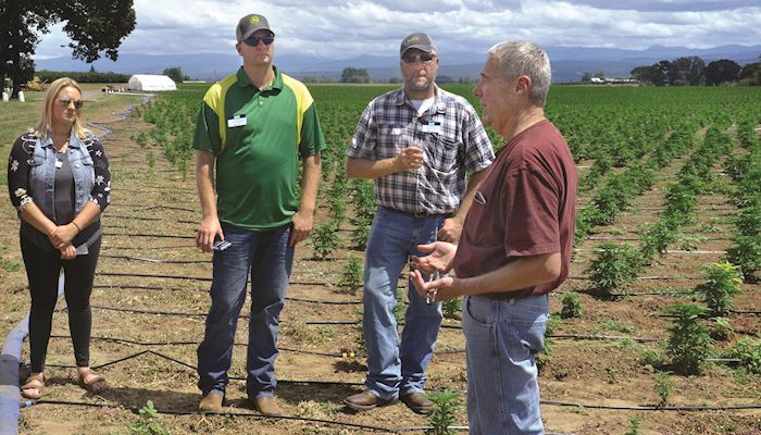 Hemp production blossoms in Oregon 