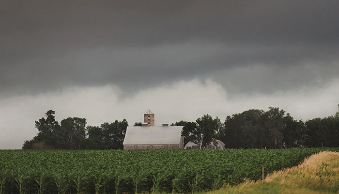 Severe storms damage Iowa crops