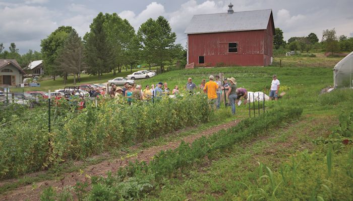 A diversified dream farm