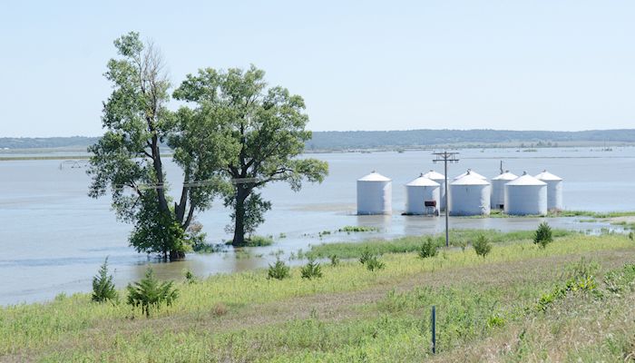 Midwest farm economy hit hard by floods
