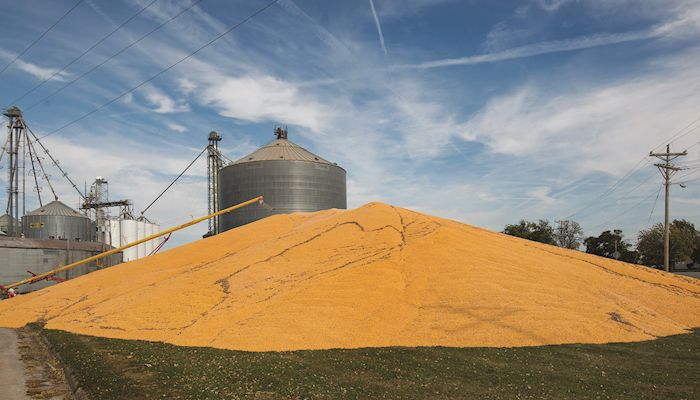 Potential for storage problems in corn and soybeans