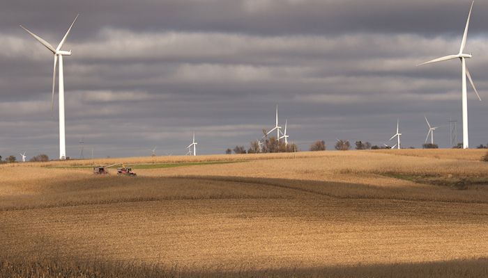 Late planting raises fears of early frost