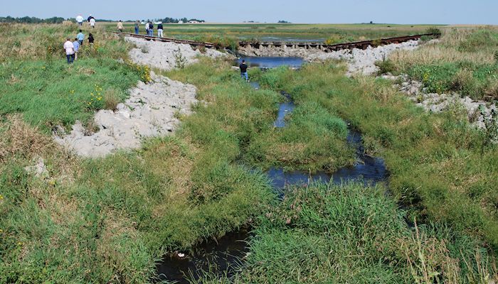 Inland waterways offer advantage to U.S. agriculture