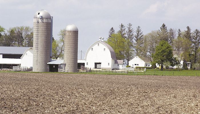 Uncertainty tames farmland market 