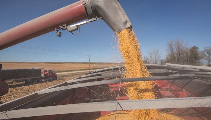 Bean stockpile more than doubles