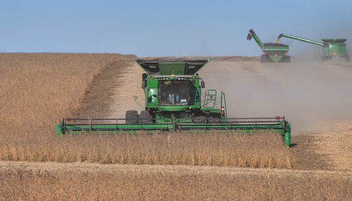 Soybean Strategy - Oct. 16, 2019