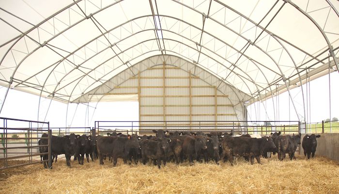 New barn brings calving indoors 