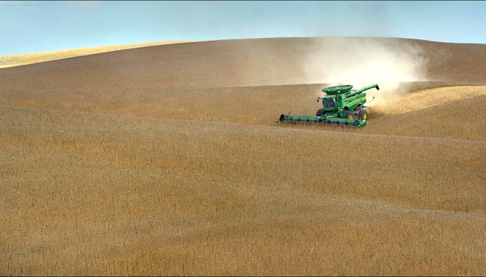 Iowa Corn & Soybean Basis - Oct. 30, 2019