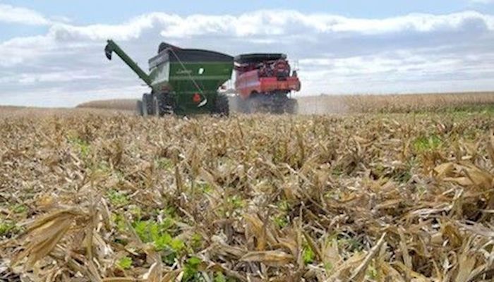 Iowa cover crop seeding deadline extended to Dec. 1