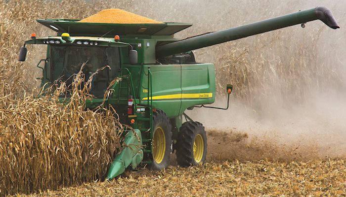 Corn Strategy - Nov. 13, 2019