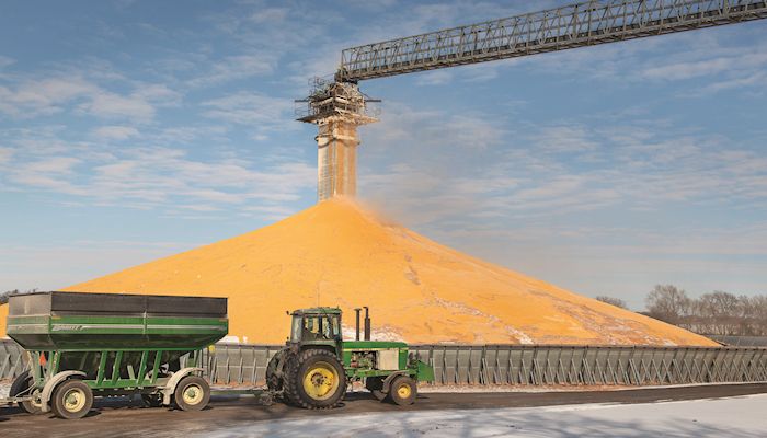 Corn production forecast drops
