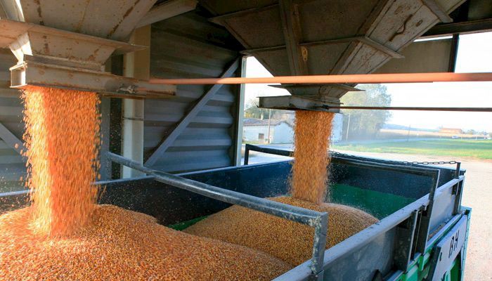 U.S. grain, soybean supply adequate