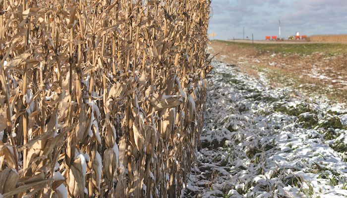 Farmers still struggling to finish harvest