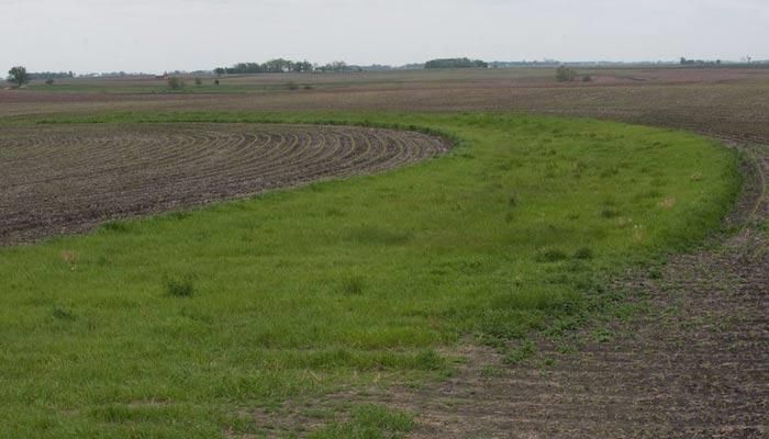 Iowa Farmers enroll 315,000 acres in conservation programs