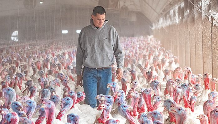 Tim Graber looks over the flock of turkeys in his barn near Wayland in Washington County. 