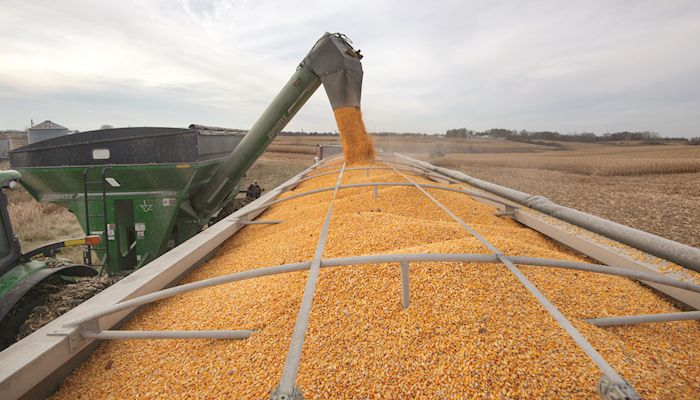 Iowa Corn & Soybean Basis - Dec. 11, 2019
