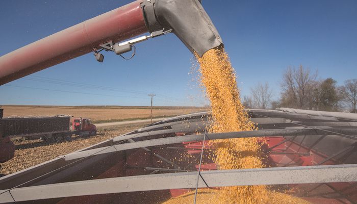 Corn yield champ tops  600-bushel barrier