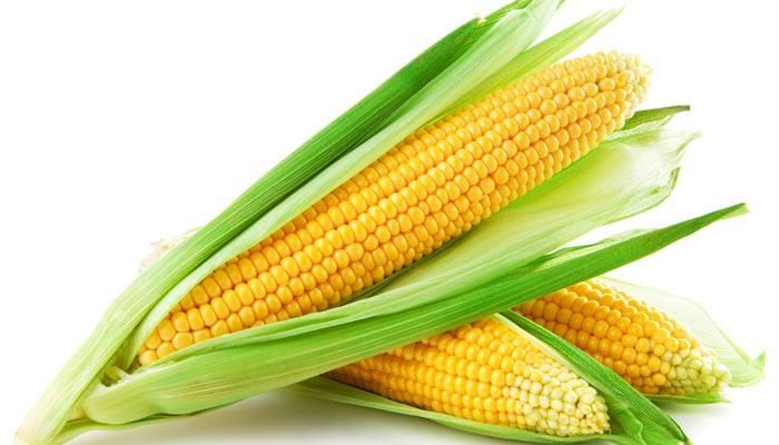 Iowa corn & soybean basis