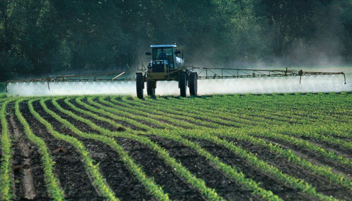 Spraying the field