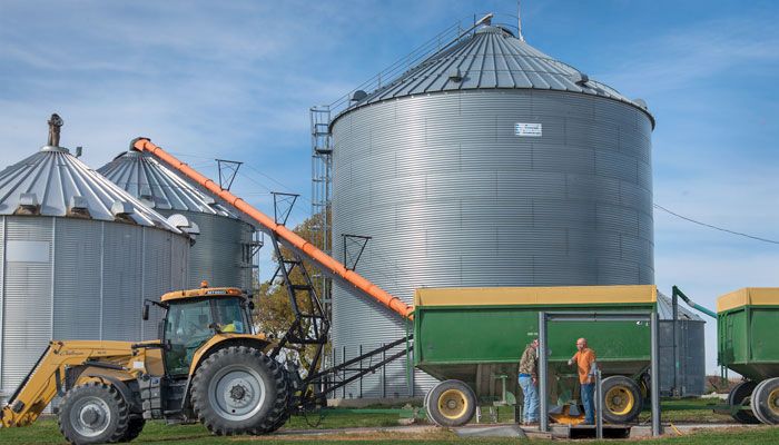 Grain bins