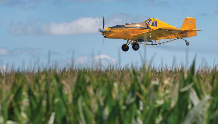 spraying corn