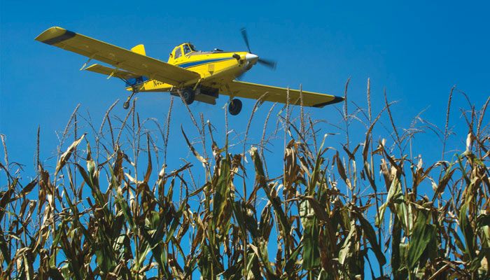 cover crops