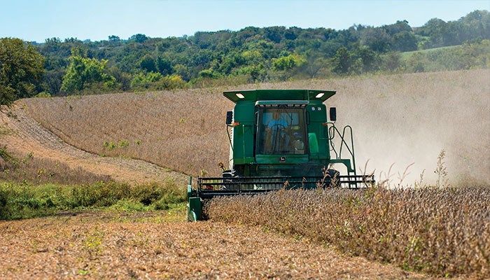 Iowa crops